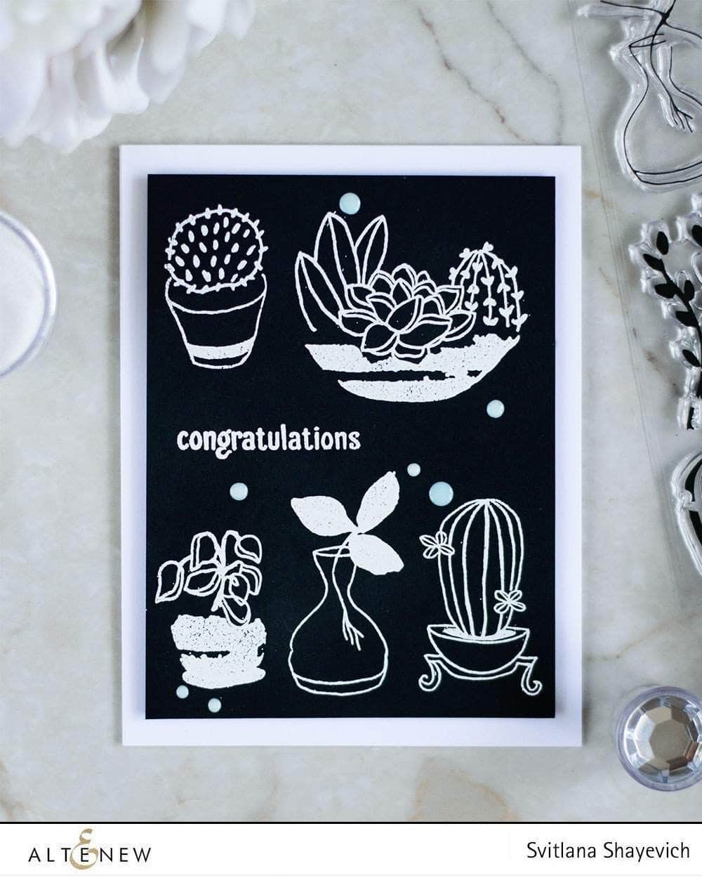 Photocentric Clear Stamps Indoor Garden Stamp Set