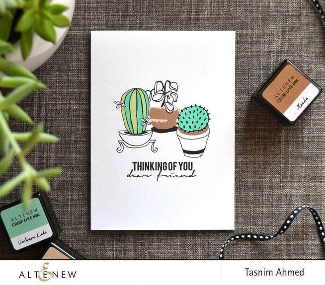 Photocentric Clear Stamps Indoor Garden Stamp Set