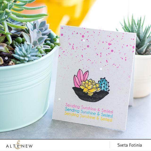 Photocentric Clear Stamps Indoor Garden Stamp Set
