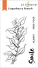 Photocentric Clear Stamps Lingonberry Branch Stamp Set