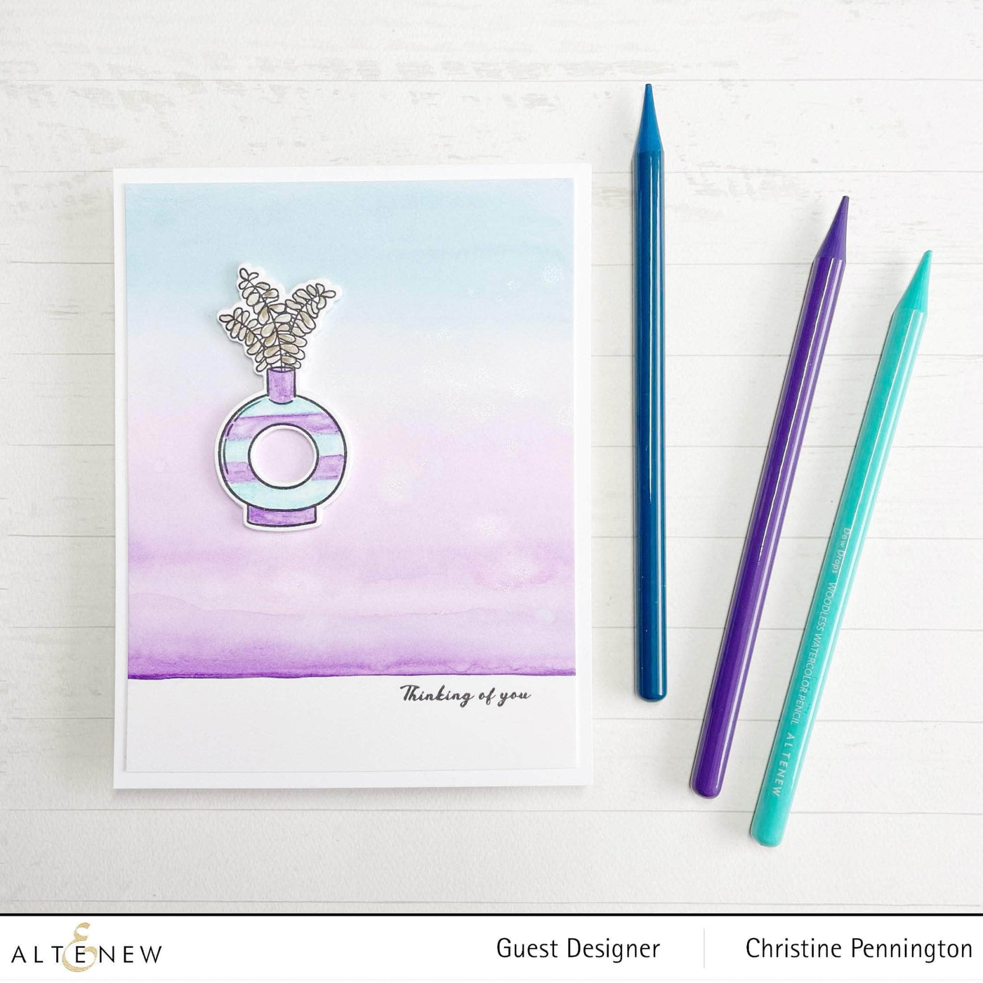 Photocentric Clear Stamps Modern Eucalyptus Stamp Set