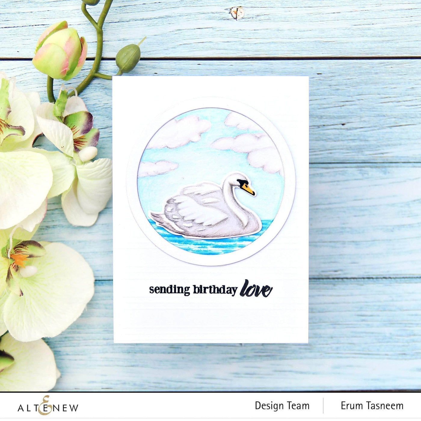 Photocentric Clear Stamps Modern Swans Stamp Set