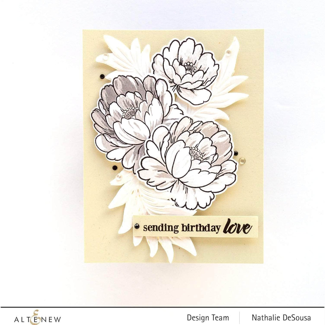 Photocentric Clear Stamps Modern Swans Stamp Set