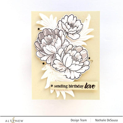 Photocentric Clear Stamps Modern Swans Stamp Set