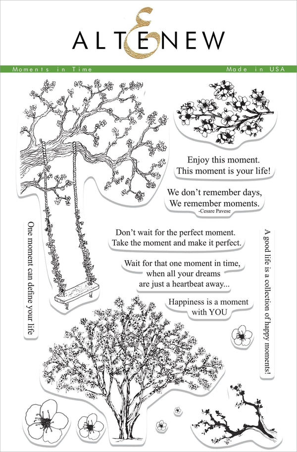 Photocentric Clear Stamps Moments in Time Stamp Set