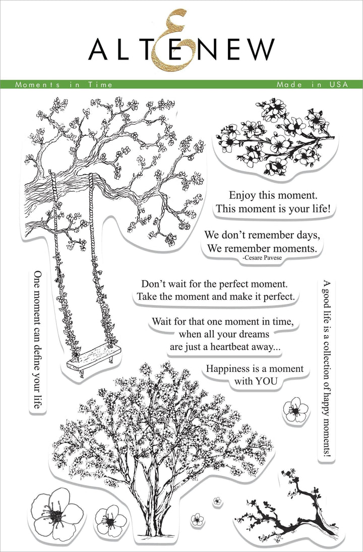 Photocentric Clear Stamps Moments in Time Stamp Set