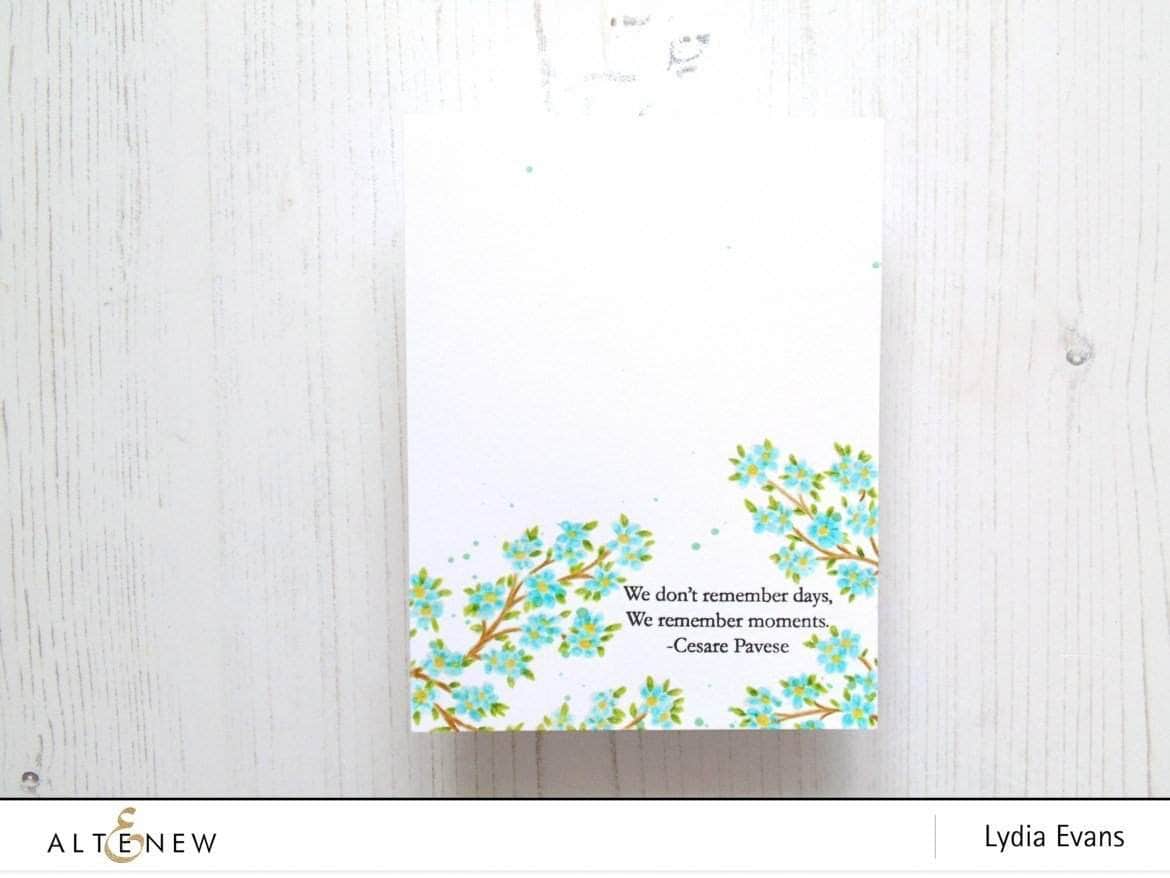 Photocentric Clear Stamps Moments in Time Stamp Set