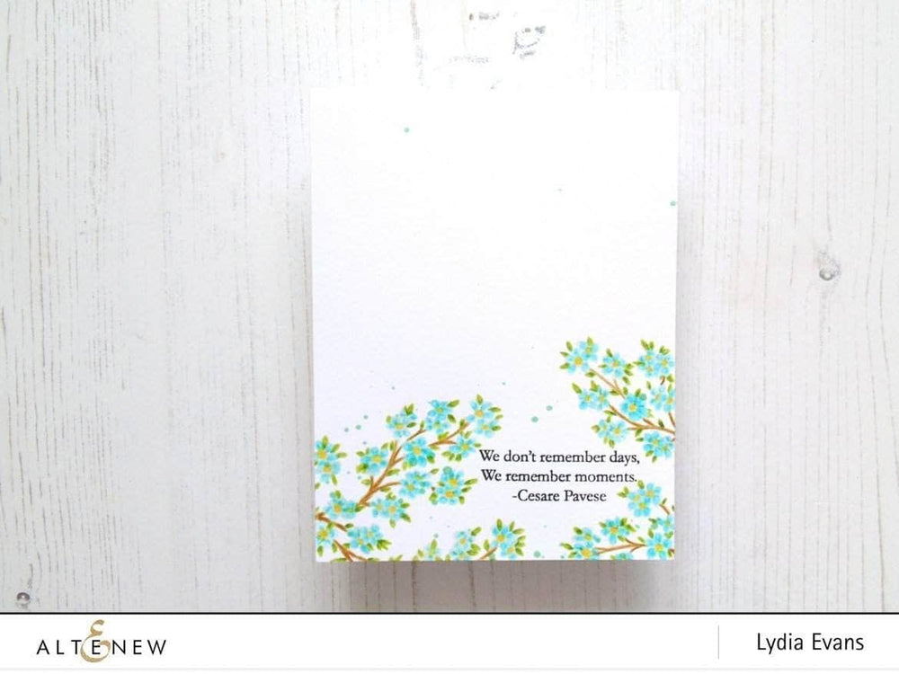 Photocentric Clear Stamps Moments in Time Stamp Set