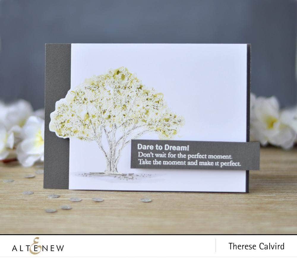 Photocentric Clear Stamps Moments in Time Stamp Set