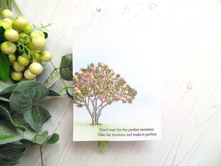 Photocentric Clear Stamps Moments in Time Stamp Set