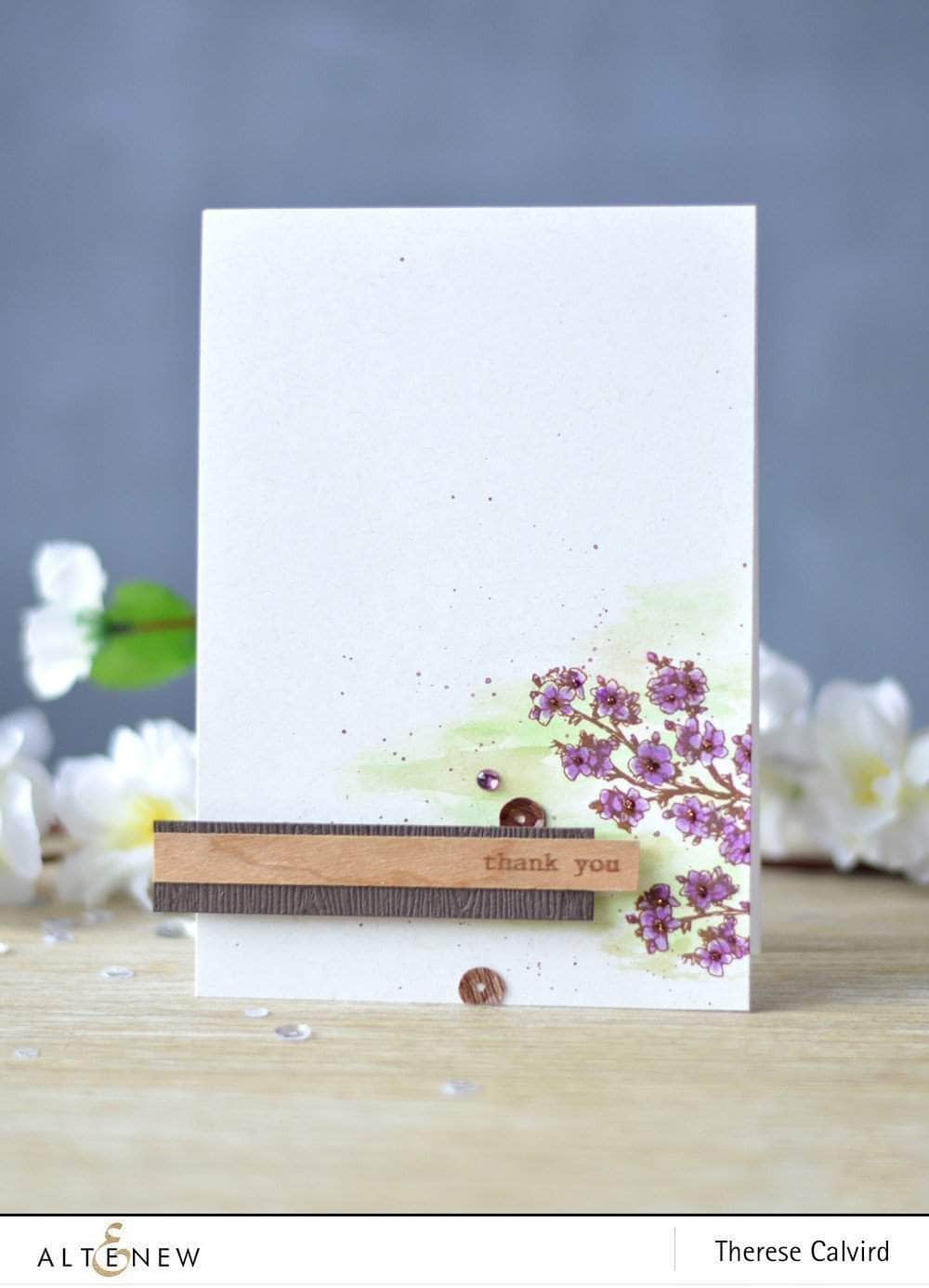 Photocentric Clear Stamps Moments in Time Stamp Set