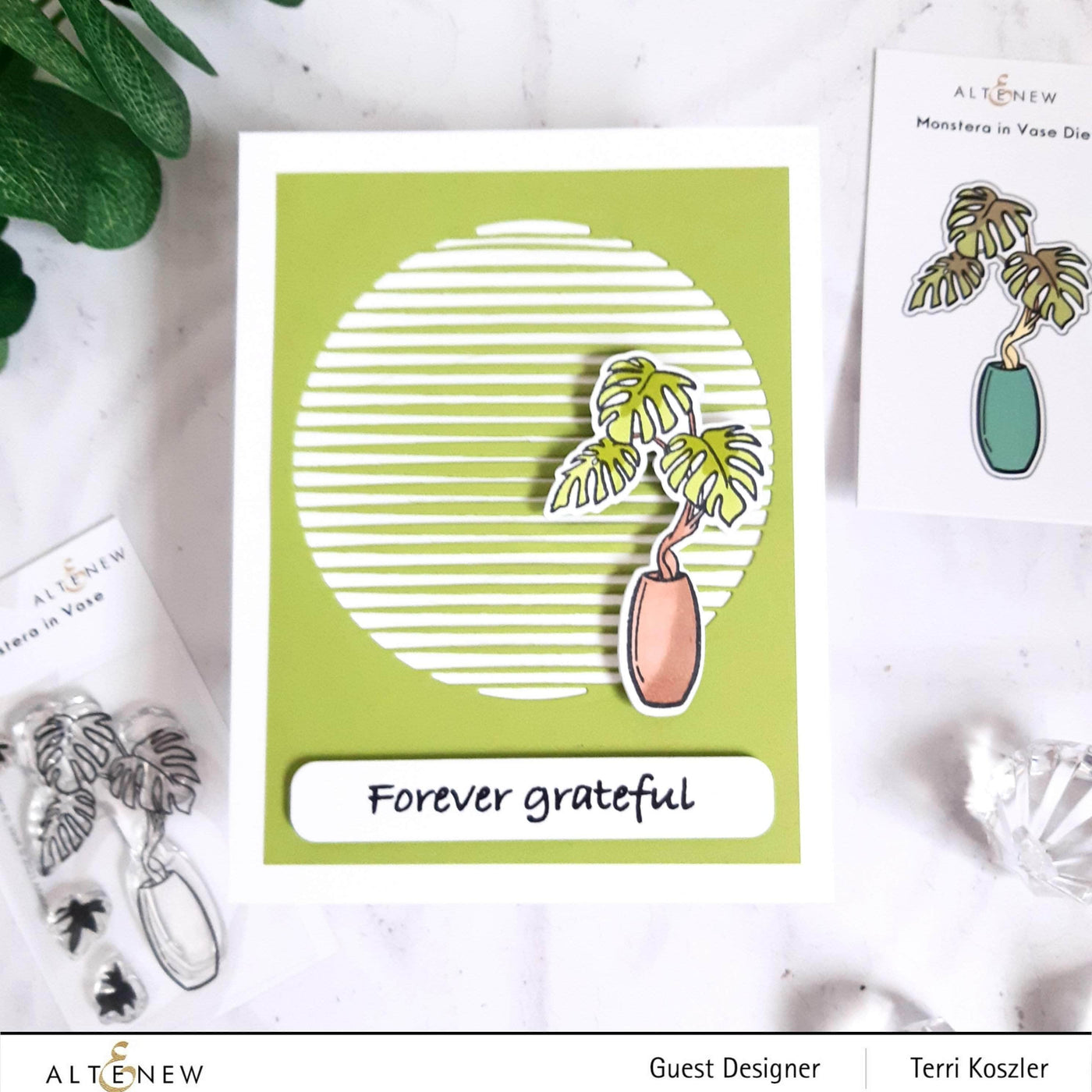 Photocentric Clear Stamps Monstera in Vase Stamp Set