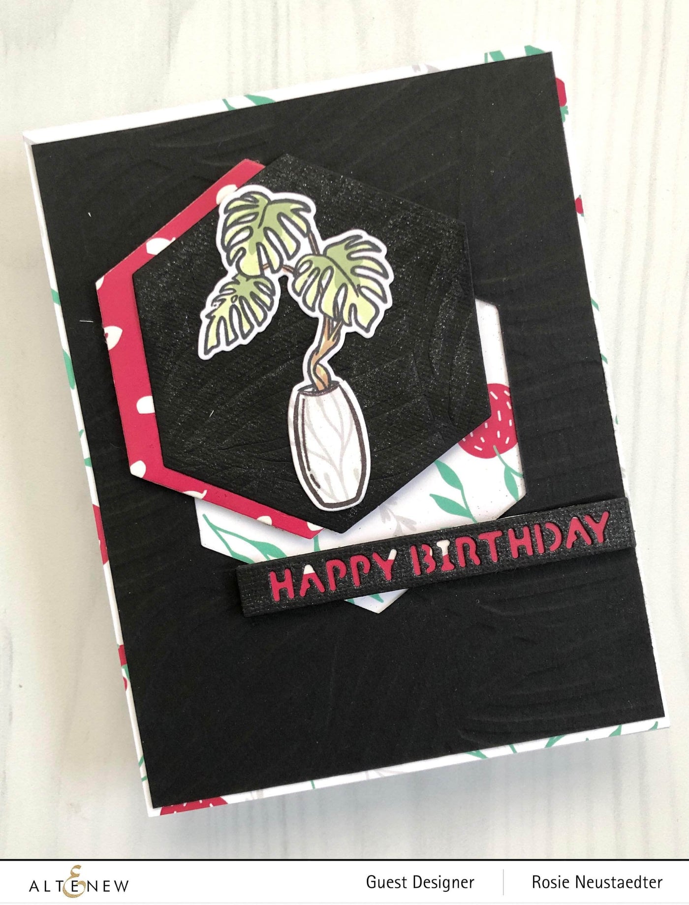 Photocentric Clear Stamps Monstera in Vase Stamp Set