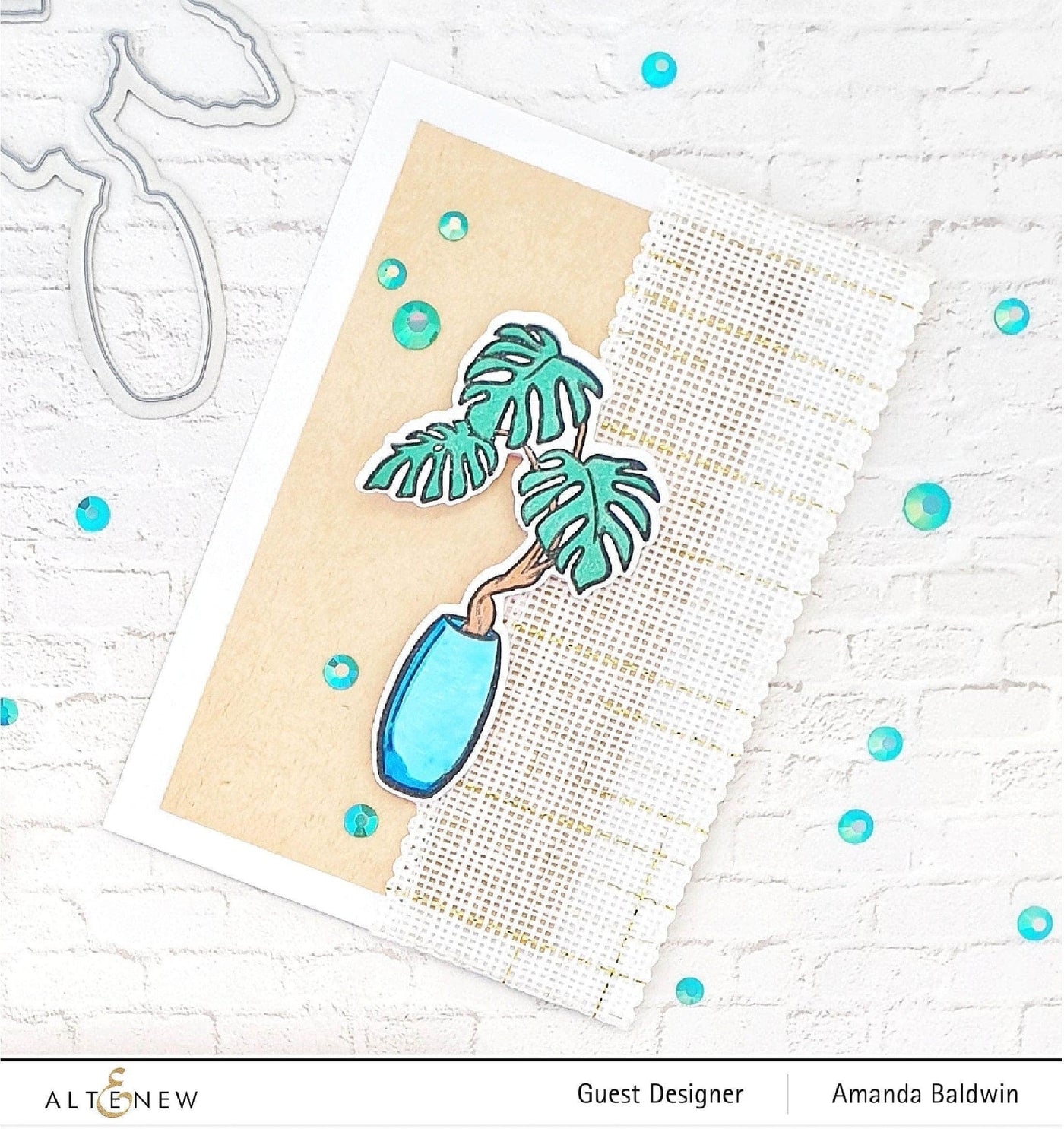 Photocentric Clear Stamps Monstera in Vase Stamp Set
