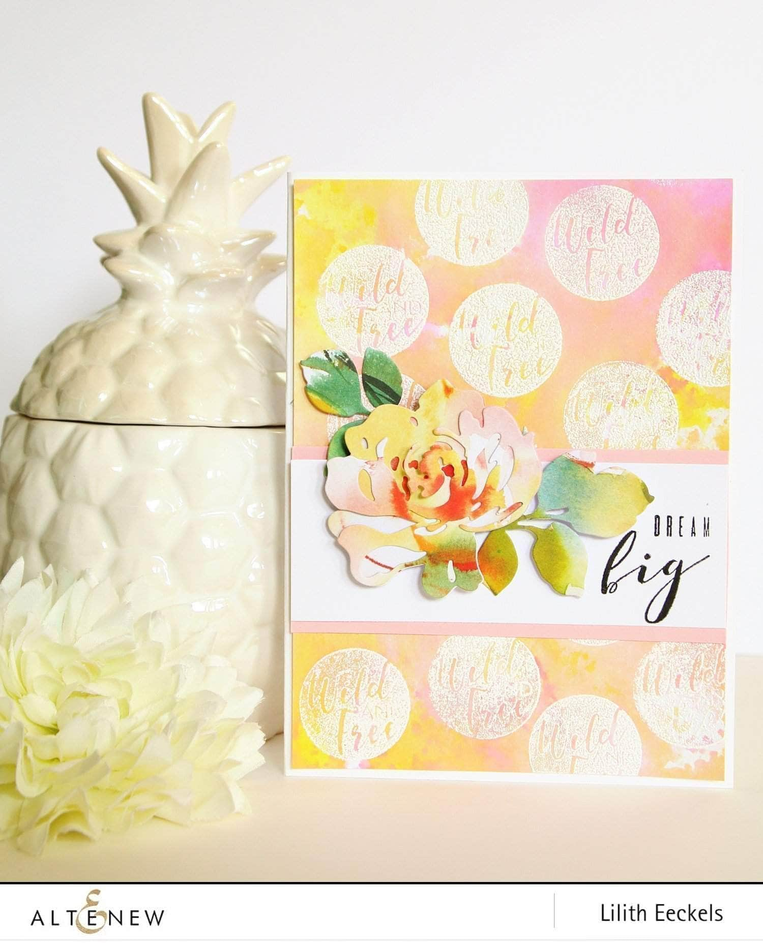 Photocentric Clear Stamps More Than Words Stamp Set