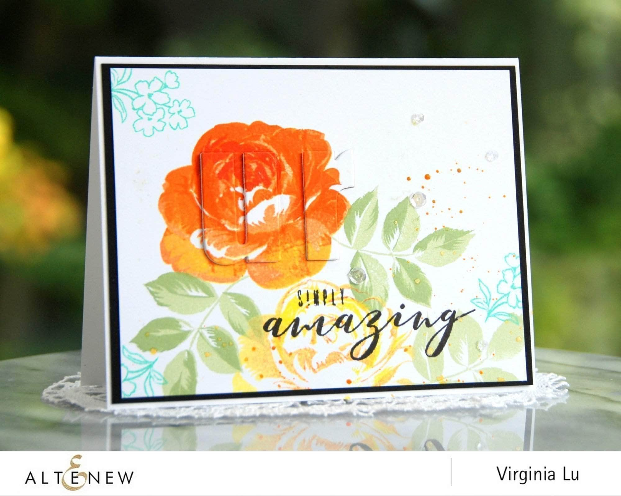 Photocentric Clear Stamps More Than Words Stamp Set