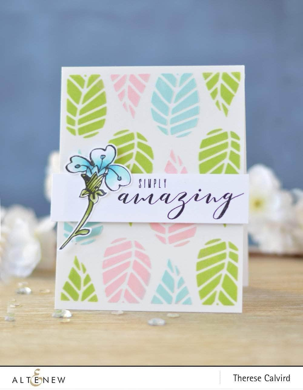 Photocentric Clear Stamps More Than Words Stamp Set