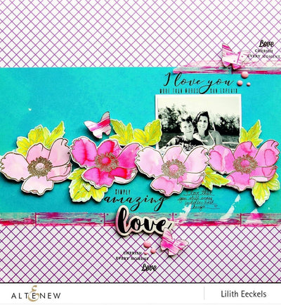 Photocentric Clear Stamps More Than Words Stamp Set