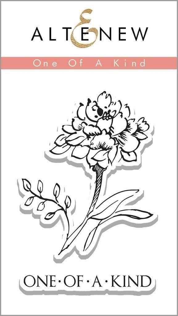 Photocentric Clear Stamps One Of A Kind Stamp Set