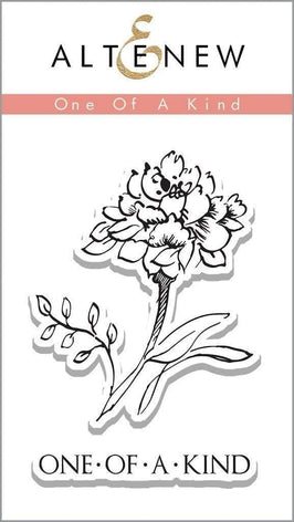 Photocentric Clear Stamps One Of A Kind Stamp Set