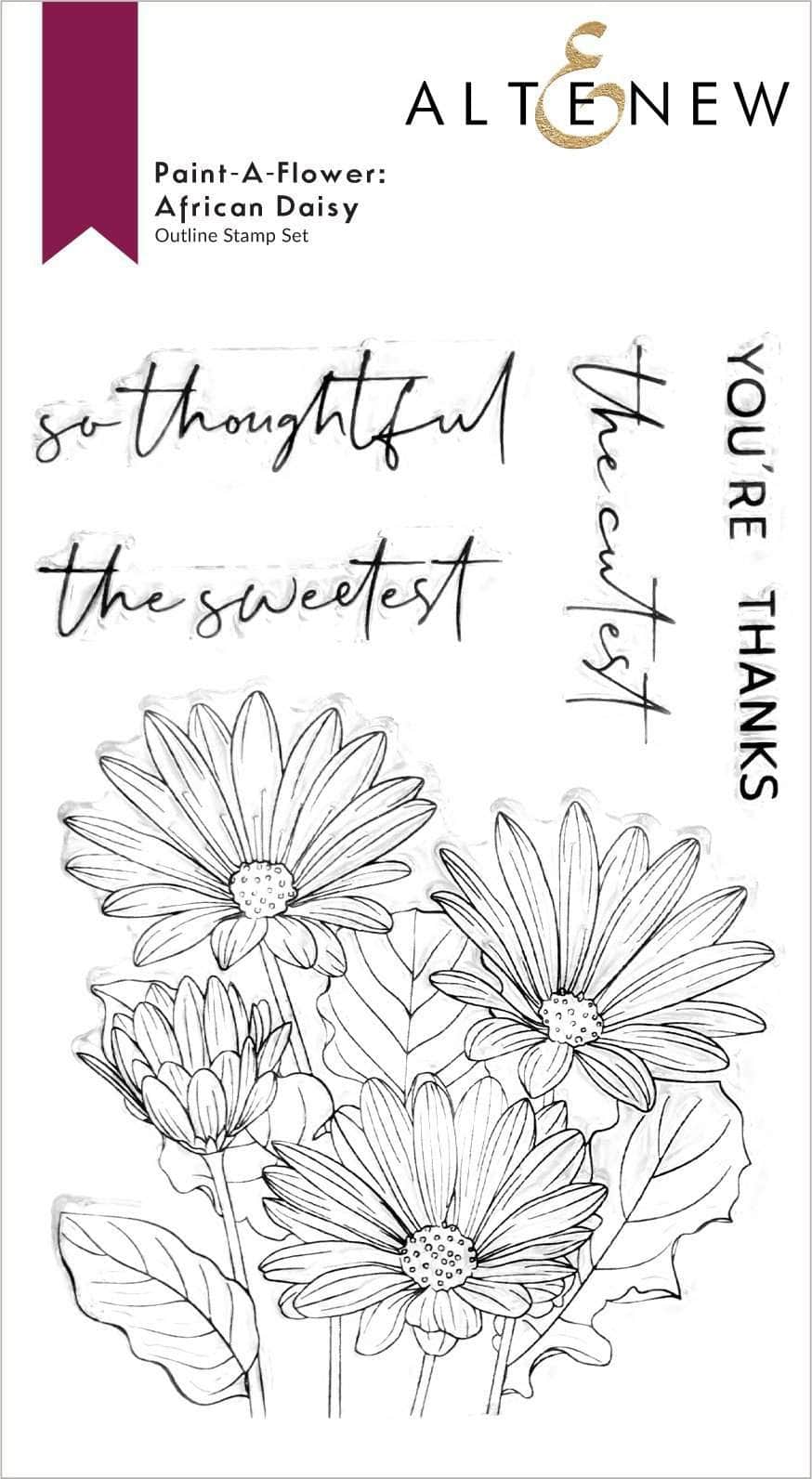 Photocentric Clear Stamps Paint-A-Flower: African Daisy Outline Stamp Set