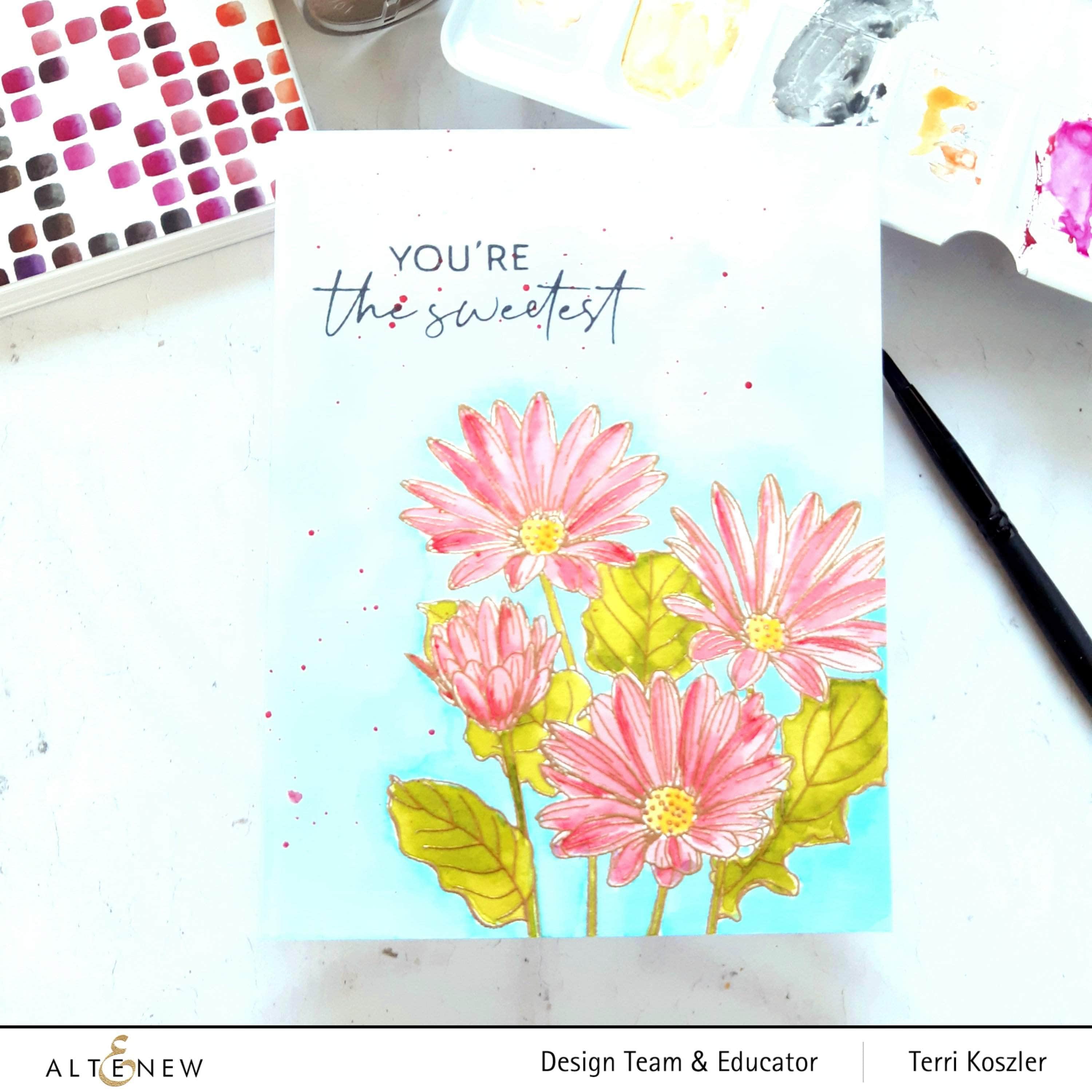 Paint-A-Flower: African Daisy Outline Stamp Set | Altenew