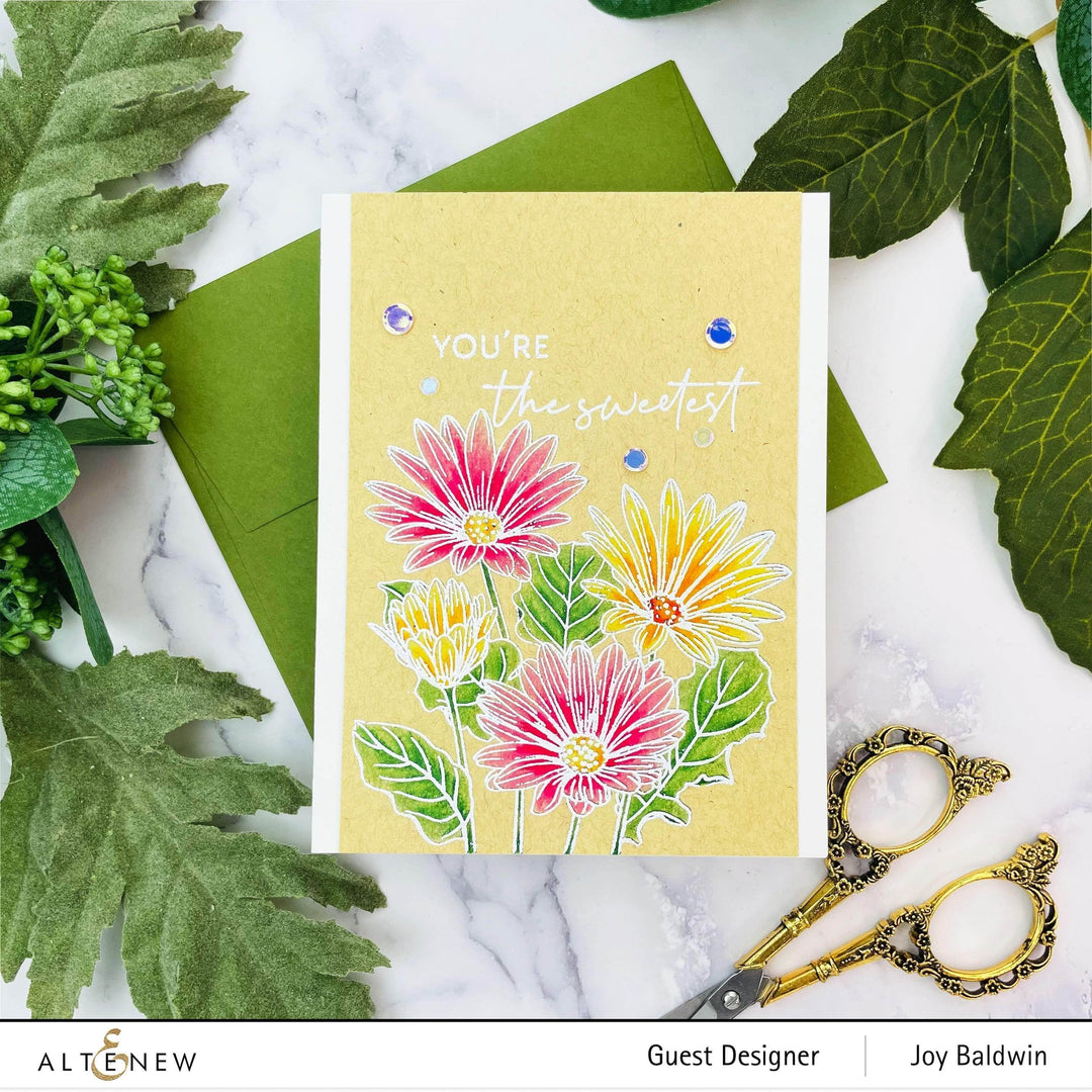 Photocentric Clear Stamps Paint-A-Flower: African Daisy Outline Stamp Set