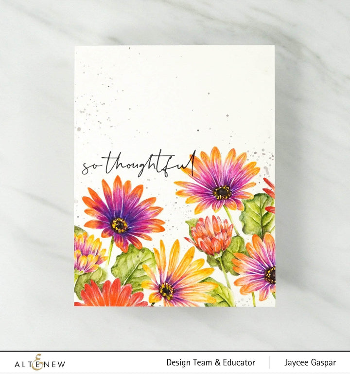 Photocentric Clear Stamps Paint-A-Flower: African Daisy Outline Stamp Set