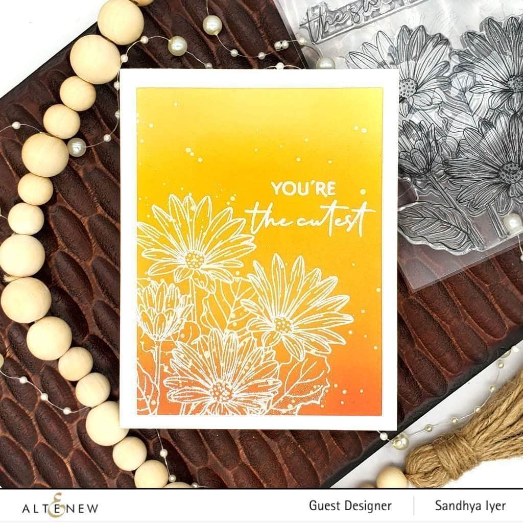 Photocentric Clear Stamps Paint-A-Flower: African Daisy Outline Stamp Set