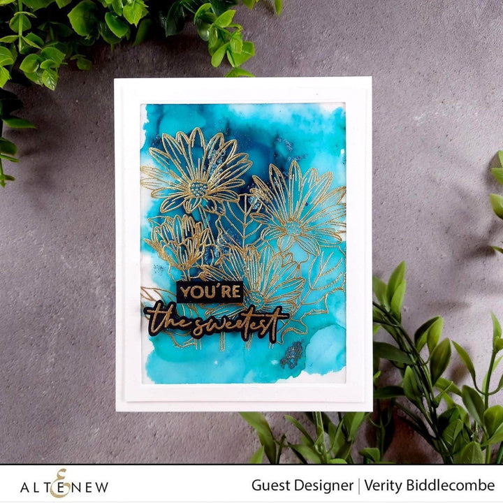 Photocentric Clear Stamps Paint-A-Flower: African Daisy Outline Stamp Set