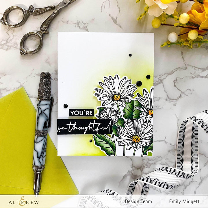 Photocentric Clear Stamps Paint-A-Flower: African Daisy Outline Stamp Set