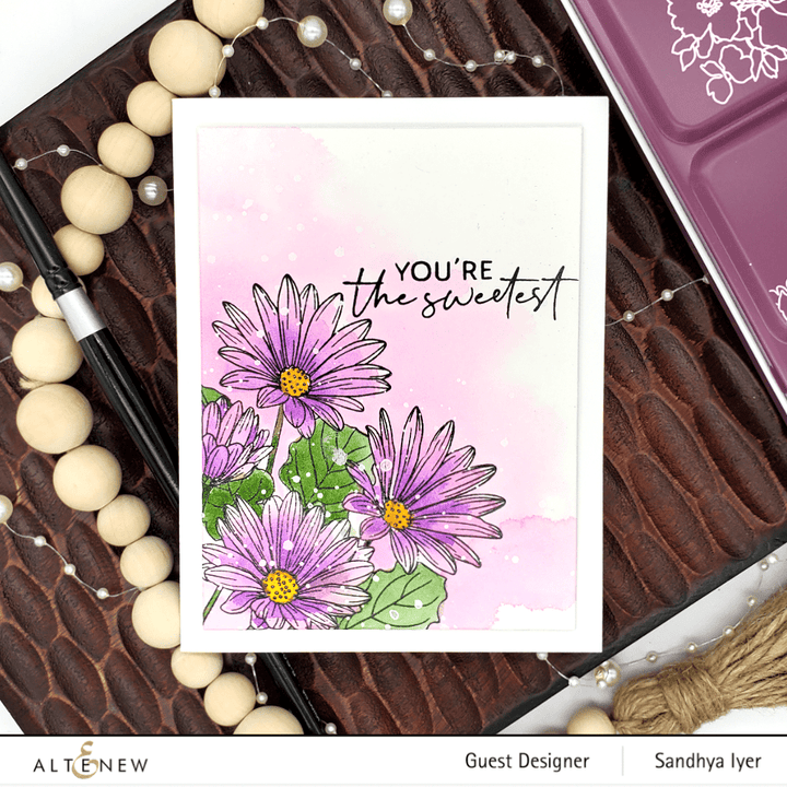 Photocentric Clear Stamps Paint-A-Flower: African Daisy Outline Stamp Set