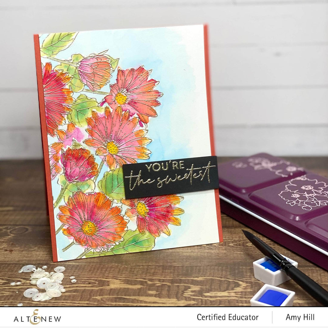 Photocentric Clear Stamps Paint-A-Flower: African Daisy Outline Stamp Set