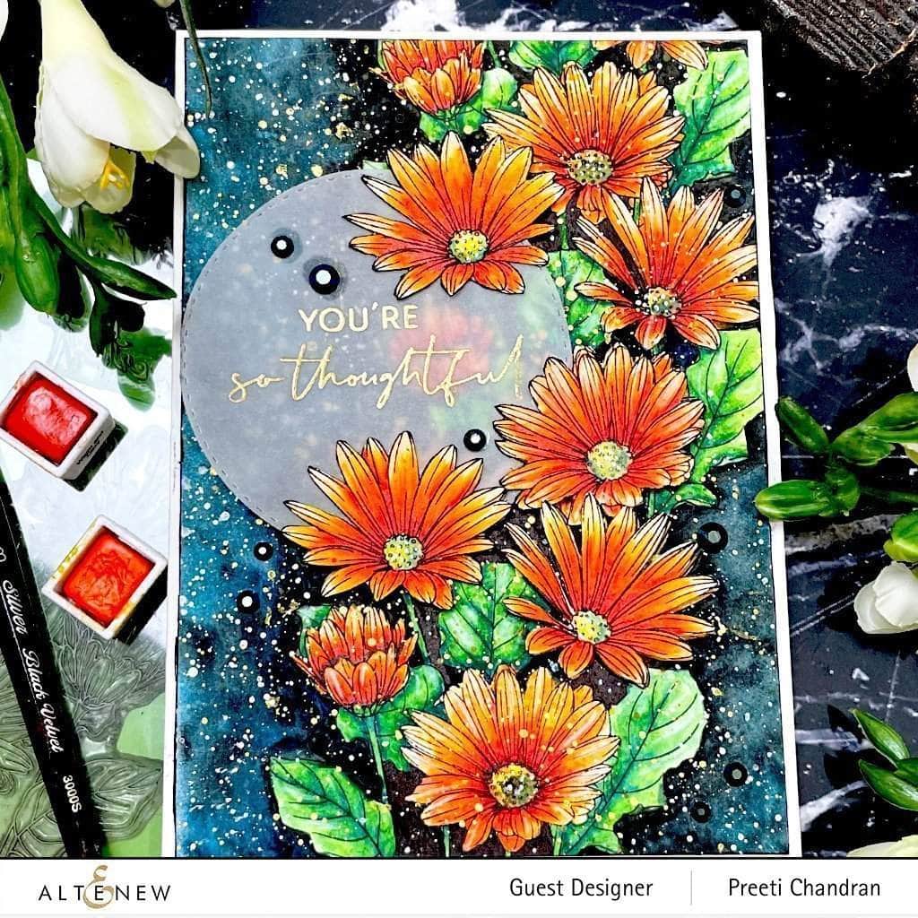 Photocentric Clear Stamps Paint-A-Flower: African Daisy Outline Stamp Set