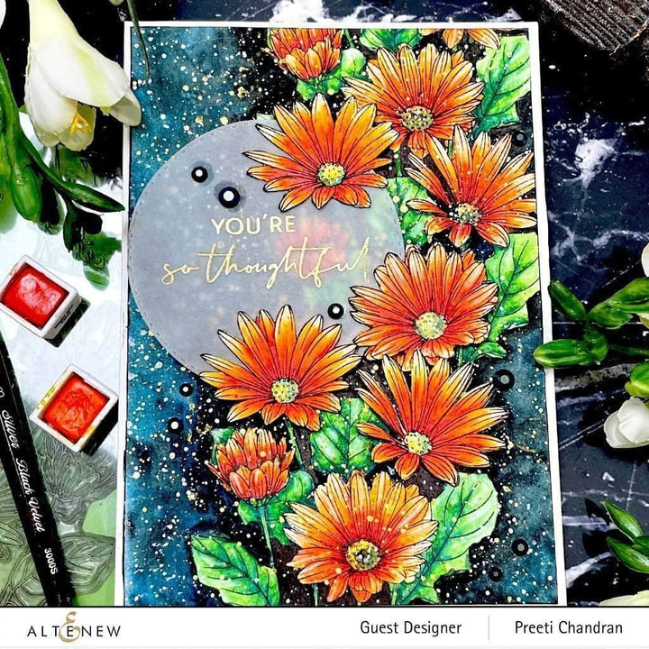 Photocentric Clear Stamps Paint-A-Flower: African Daisy Outline Stamp Set