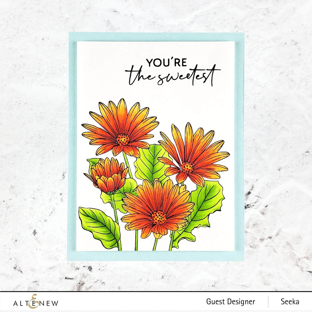 Photocentric Clear Stamps Paint-A-Flower: African Daisy Outline Stamp Set