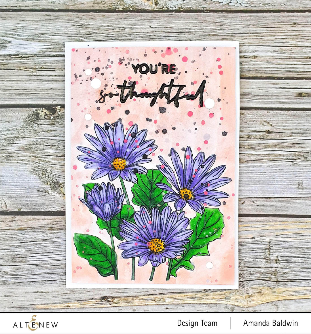 Photocentric Clear Stamps Paint-A-Flower: African Daisy Outline Stamp Set