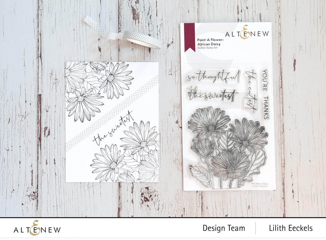 Photocentric Clear Stamps Paint-A-Flower: African Daisy Outline Stamp Set