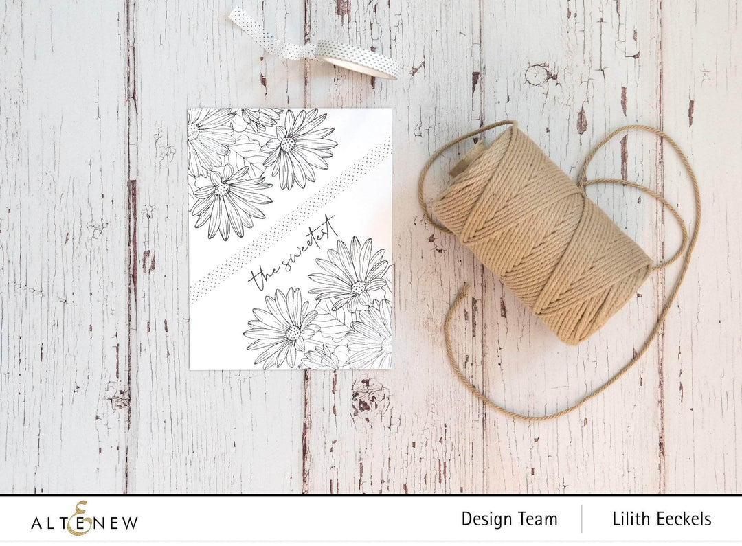 Photocentric Clear Stamps Paint-A-Flower: African Daisy Outline Stamp Set