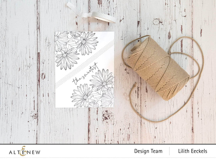 Photocentric Clear Stamps Paint-A-Flower: African Daisy Outline Stamp Set