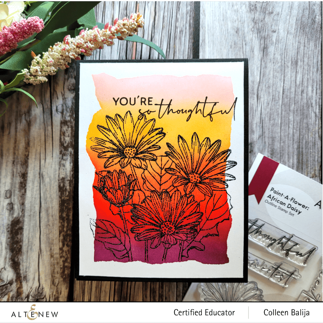 Photocentric Clear Stamps Paint-A-Flower: African Daisy Outline Stamp Set