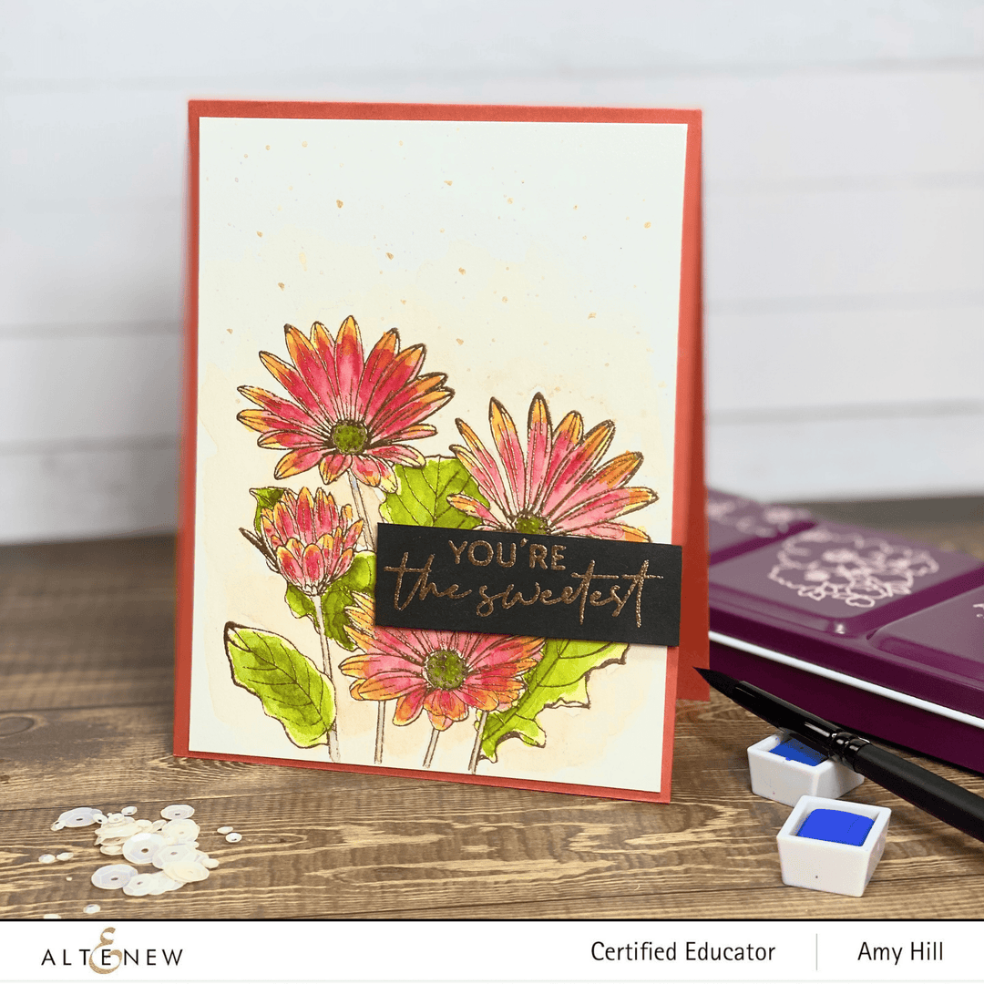 Photocentric Clear Stamps Paint-A-Flower: African Daisy Outline Stamp Set