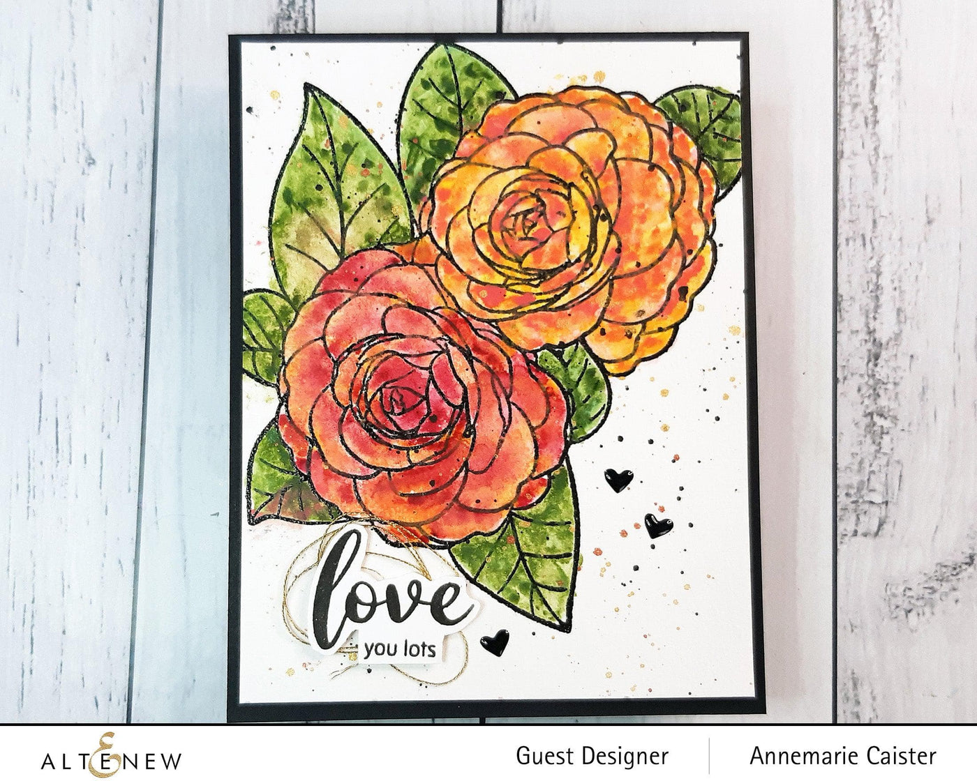Photocentric Clear Stamps Paint-A-Flower: Camellia Waterhouse Outline Stamp Set