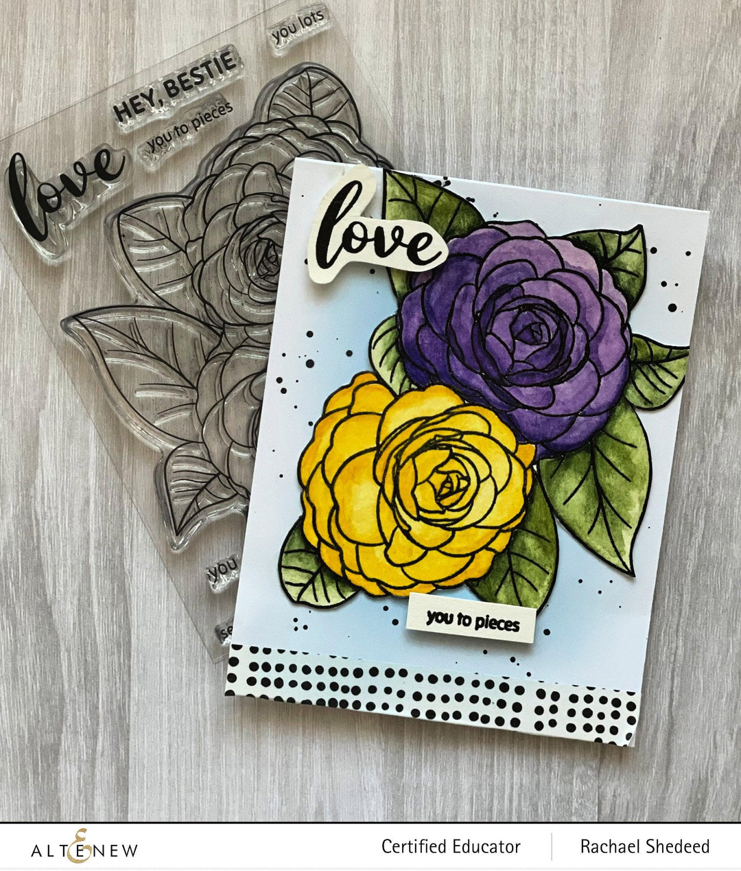 Photocentric Clear Stamps Paint-A-Flower: Camellia Waterhouse Outline Stamp Set