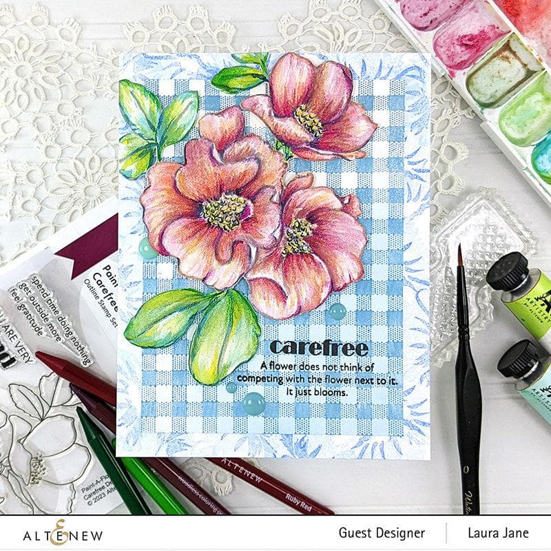 PMA Industries, Inc. Clear Stamps Paint-A-Flower: Carefree Delight Outline Stamp Set
