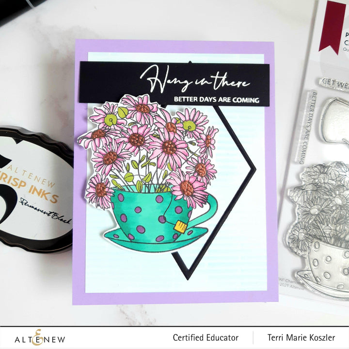 Photocentric Clear Stamps Paint-A-Flower: Chamomile Outline Stamp Set