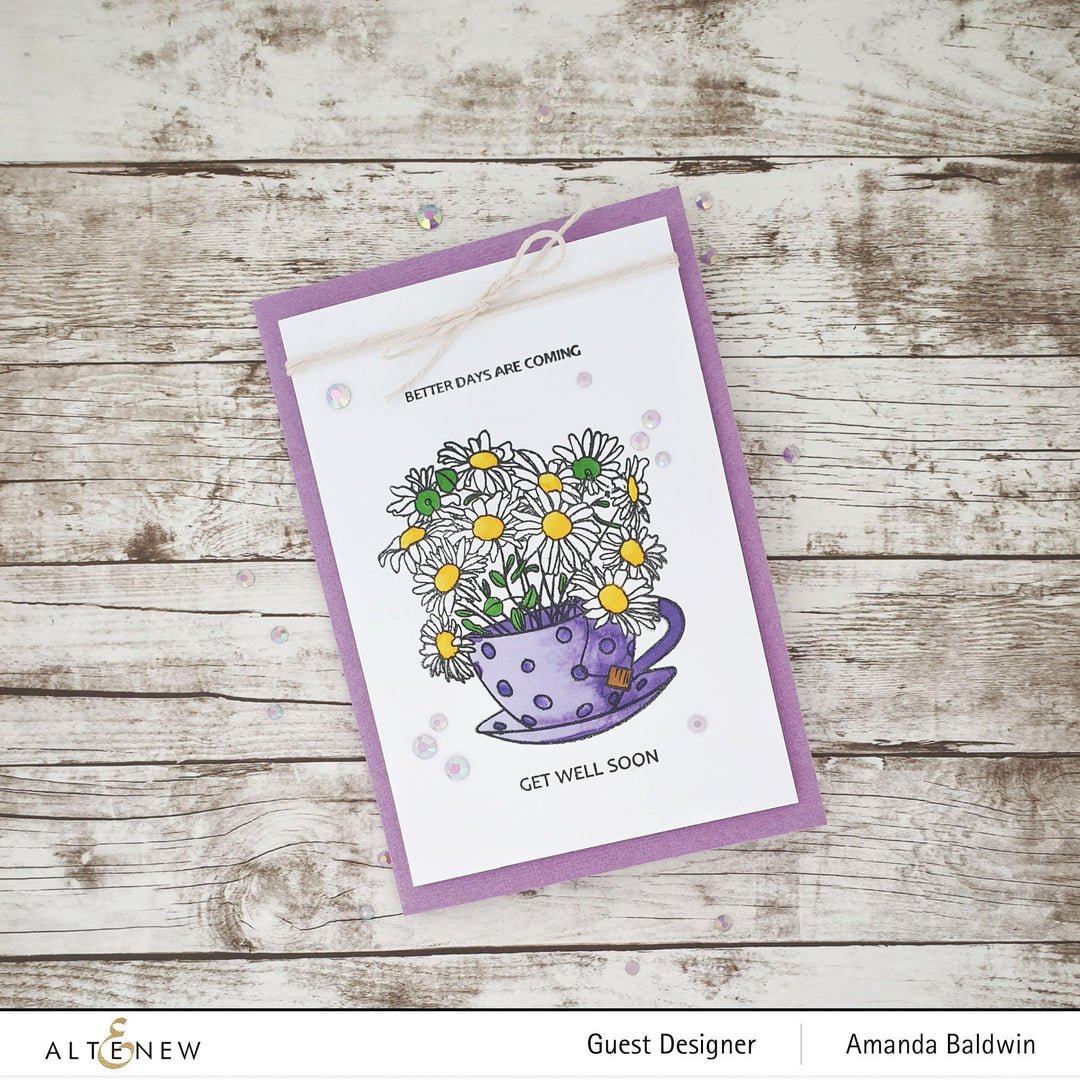 Photocentric Clear Stamps Paint-A-Flower: Chamomile Outline Stamp Set