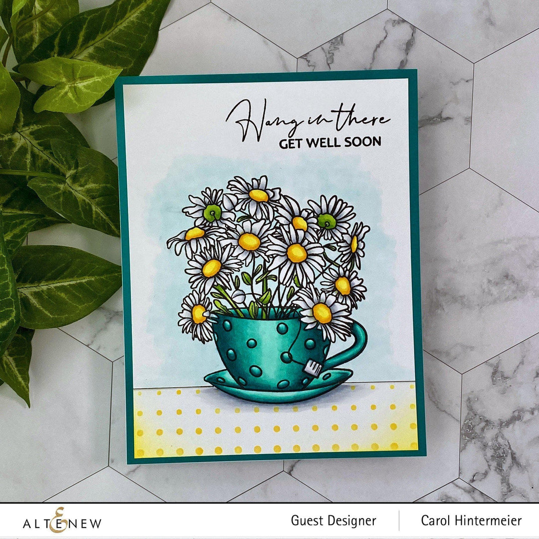 Photocentric Clear Stamps Paint-A-Flower: Chamomile Outline Stamp Set