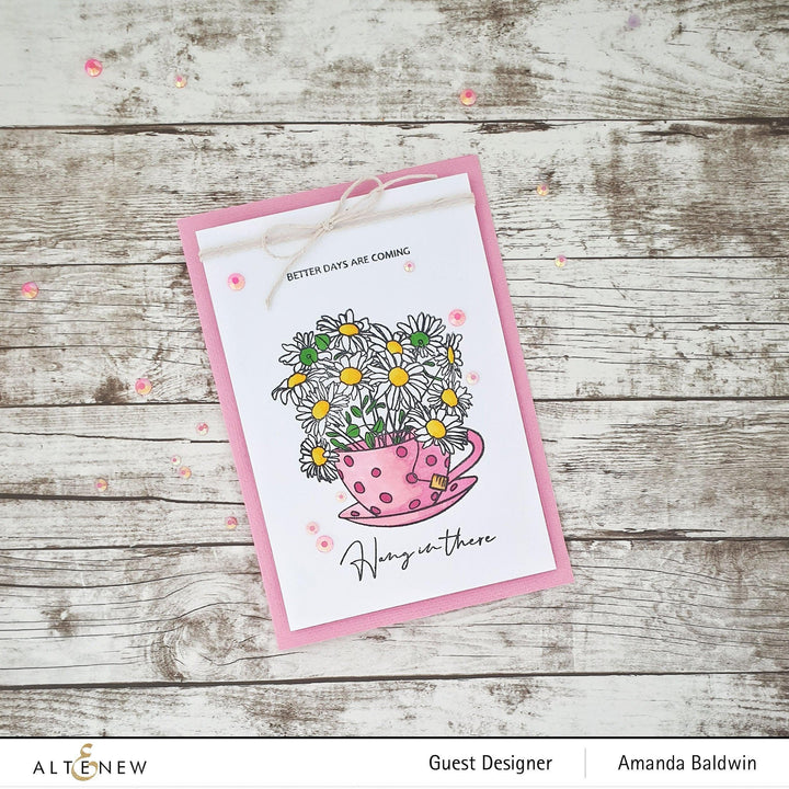 Photocentric Clear Stamps Paint-A-Flower: Chamomile Outline Stamp Set