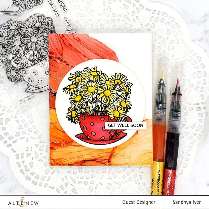 Photocentric Clear Stamps Paint-A-Flower: Chamomile Outline Stamp Set